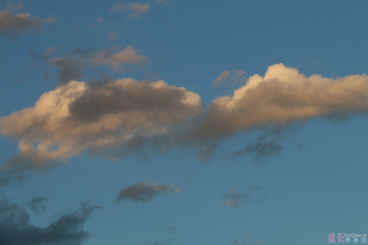 IMG_0398_1200x800.JPG
