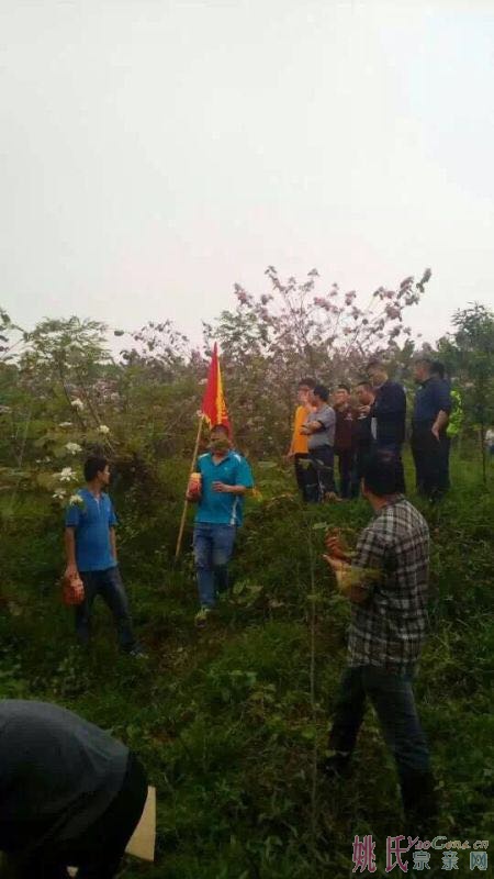 广东四会县迳口姚氏有两个祠堂