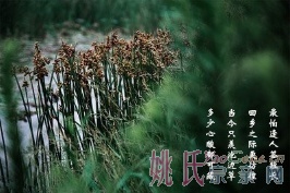 微信图片_20240222151309.jpg