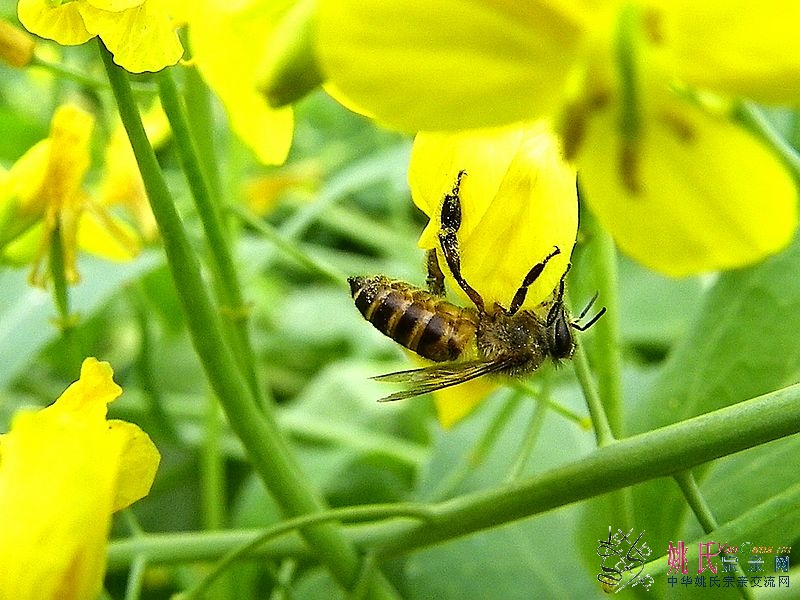 nEO_IMG_100B3772.jpg