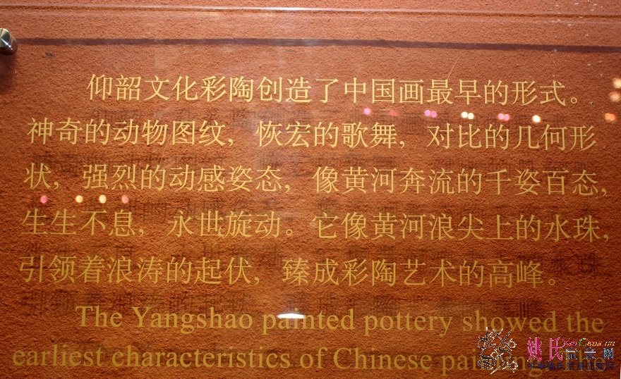 IMG_4569.JPG